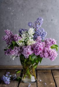 lilac, bouquet, vase